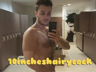 10incheshairycock