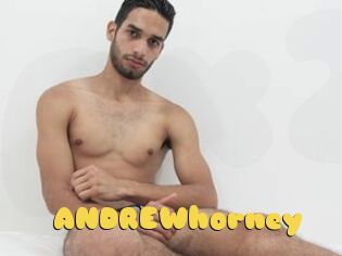 ANDREWhorney