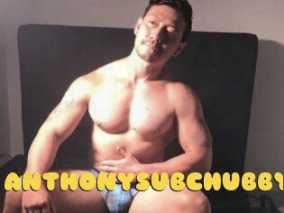 ANTHONYSUBCHUBBY