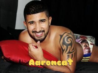 Aaroncat