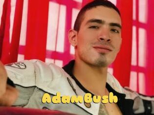 AdamBush