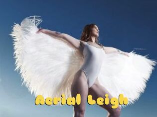 Aerial_Leigh