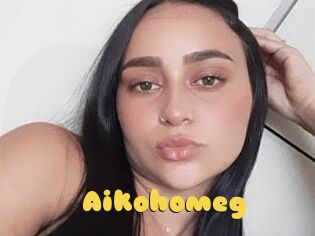 Aikohomeg