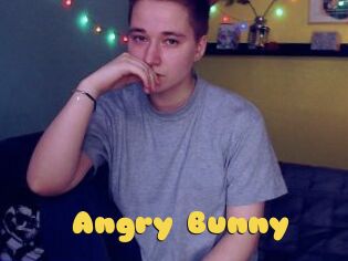 Angry_Bunny