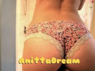 AnittaDream