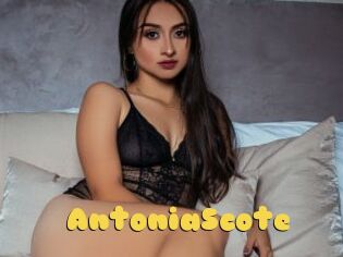 AntoniaScote
