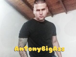 AntonyBigAss