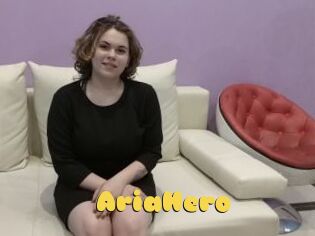 AriaHero