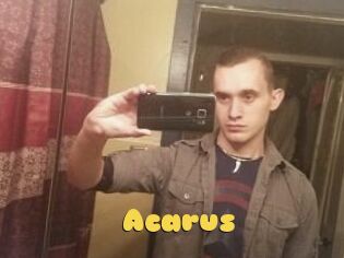 Acarus