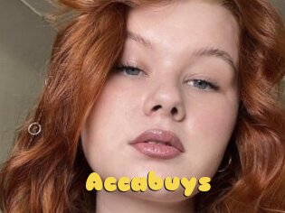 Accabuys
