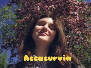 Accacurvin