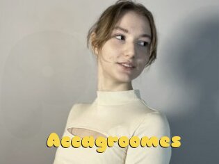 Accagroomes