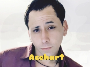 Acehart