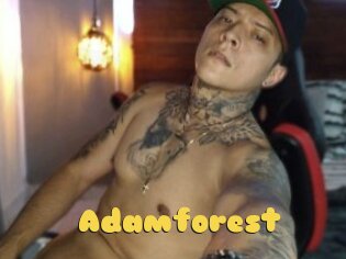 Adamforest