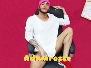 Adamrosse
