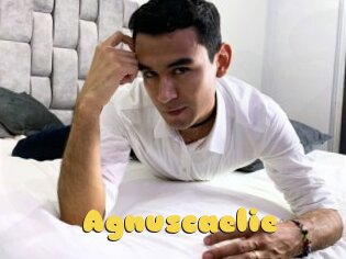 Agnuscaelie