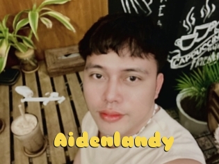 Aidenlandy