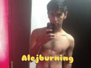 Alejburning