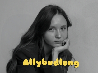 Allybudlong