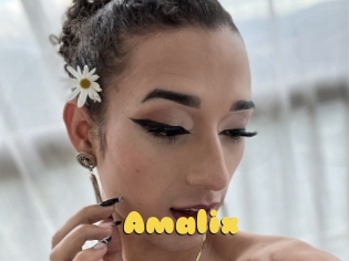 Amalix
