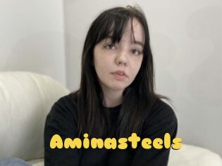Aminasteels