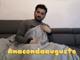 Anacondaaugusto