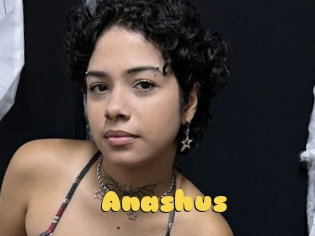 Anashus