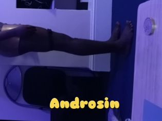 Androsin