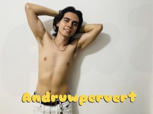 Andruwpervert