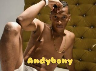 Andybony