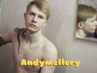 Andymellory