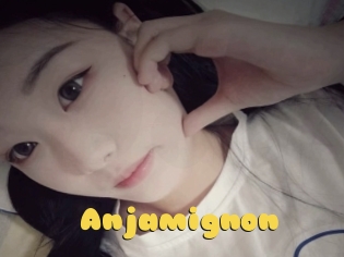 Anjamignon