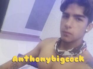 Anthonybigcock
