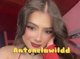 Antonelawildd