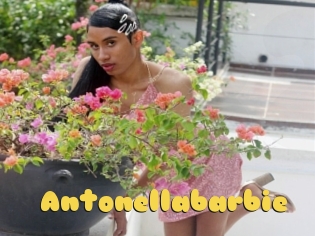 Antonellabarbie