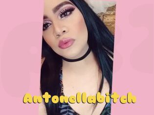 Antonellabitch