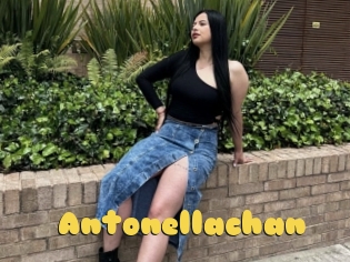 Antonellachan