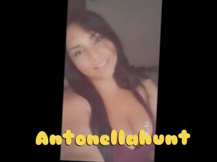 Antonellahunt