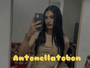 Antonellatobon