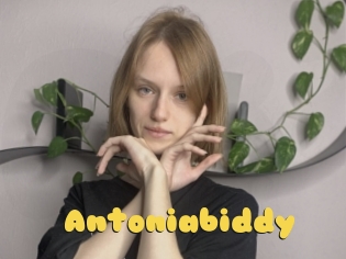 Antoniabiddy