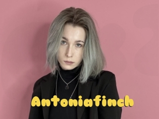 Antoniafinch