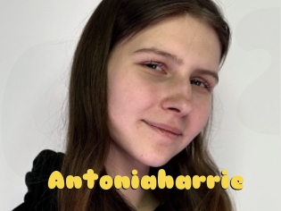 Antoniaharrie