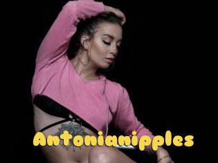 Antonianipples