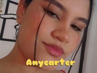 Anycarter