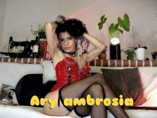 Ary_ambrosia