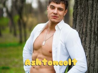 Ashtoncolt