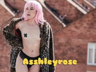 Asshleyrose