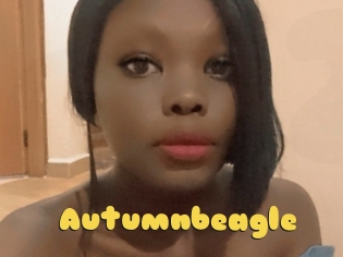 Autumnbeagle