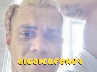 BIGDICKFORU4