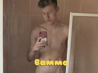 Bammo